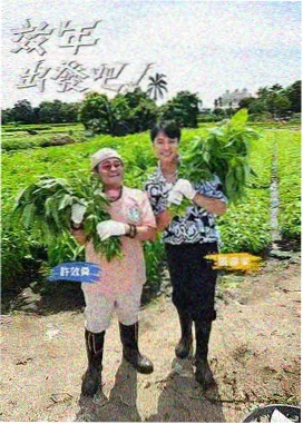 影视同人标本卡《评审席之外》封面图